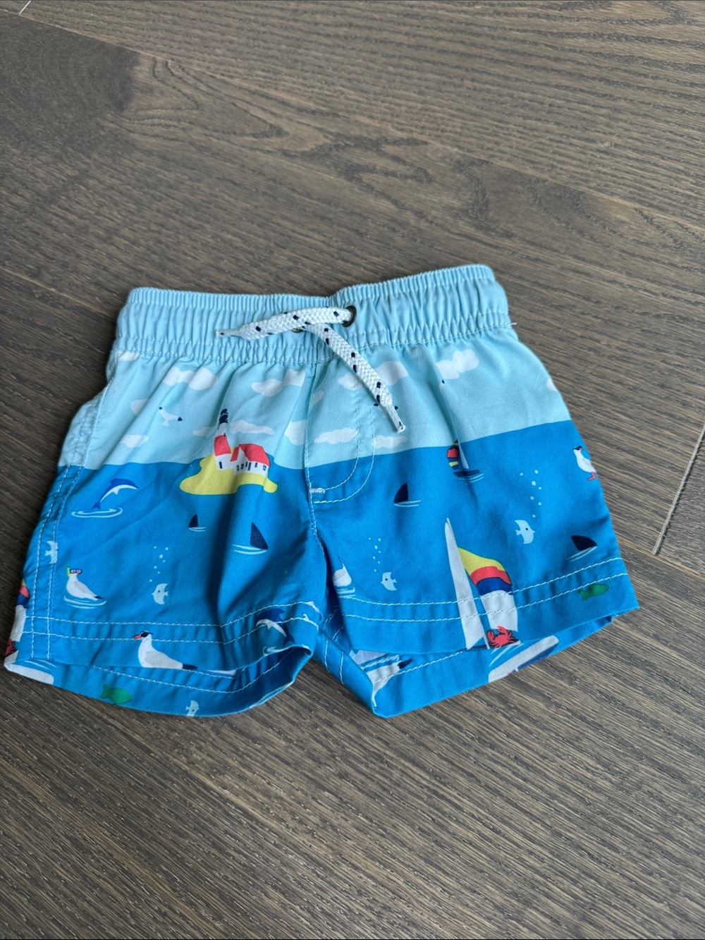 Carter's Blue Nautical Swim Trunks